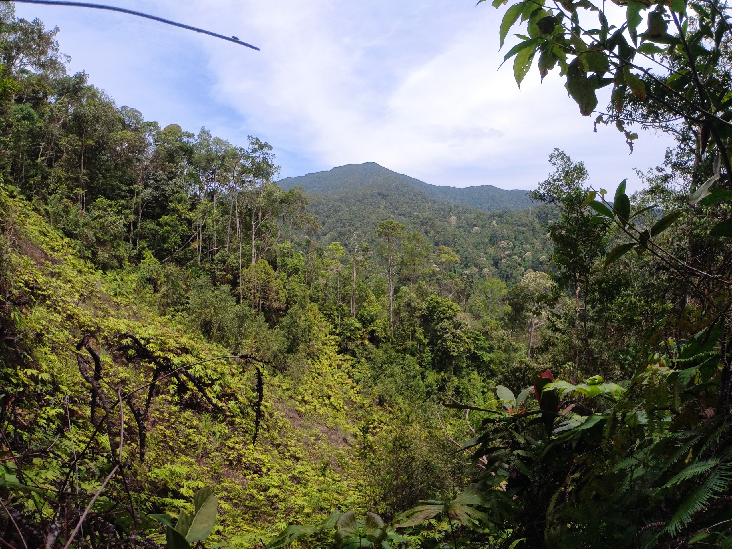 Soil and Mineral Exploration Image